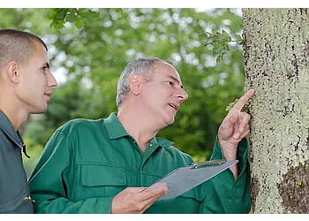 Kamloops tree service Arborscapes