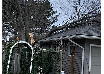 Oakville tree service Arborwood Tree Service Inc.