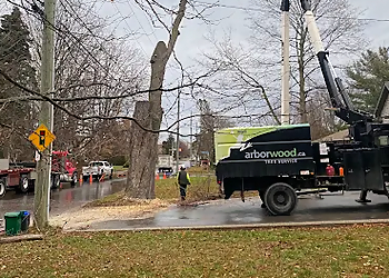 Arborwood Tree Service Inc. Arborwood Tree Service Inc. - Oakville, ON Tree Services - Truck Image