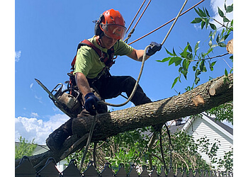 Drummondville tree service Arbor Élagage MG Inc.