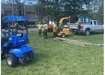 Drummondville tree service Arbor Élagage MG Inc.