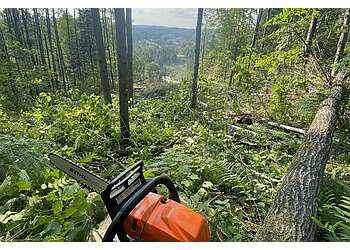 Saguenay tree service Arboréal service d'élagage
