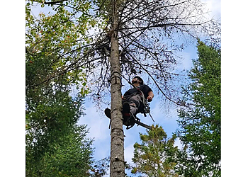 Mirabel tree service Arbo-santé