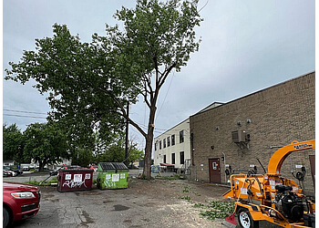 Longueuil tree service Arbovert