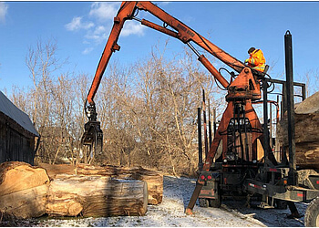 Longueuil tree service Arbovert
