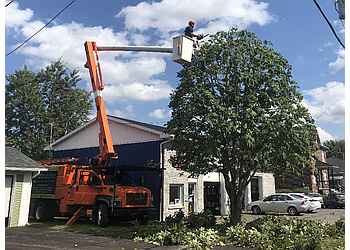Granby tree service Arboxygene