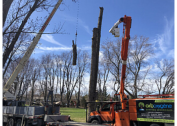 Granby tree service Arboxygene