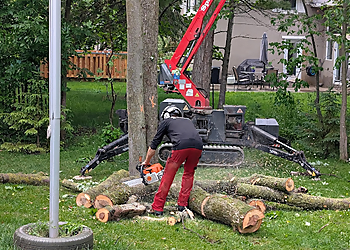 Arboxygène - Granby, QC Services d'arboriculteur - Job Site Image