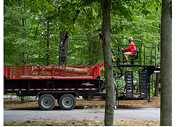 Brossard tree service Arbres Montréal