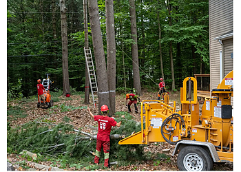 Brossard tree service Arbres Montréal 
