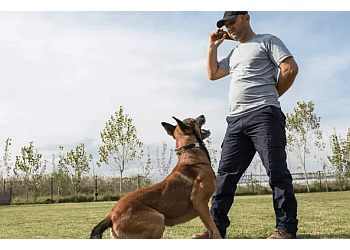 Surrey dog trainer Argos Pet Ranch
