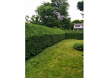 Halifax lawn care service Armdale Lawn Care