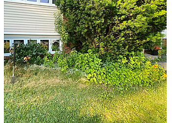 Halifax lawn care service Armdale Lawn Care
