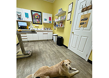 Newmarket veterinary clinic Armitage Animal Clinic