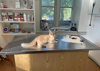 Richmond Hill veterinary clinic Arnold Crescent Animal Hospital