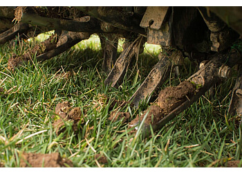 Saint Jean sur Richelieu Service D'Entretien De Pelouse Arrosage Monsieur Gazon