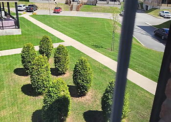 Arrosages Simoneau - Terrebonne, QC Lawn Care Services - Project Image