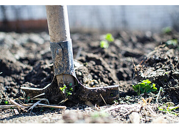 Richmond tree service Ash Grove Tree Solutions