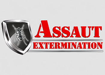 Assaut Extermination - Saint Jean sur Richelieu, QC Services d'extermination de parasites - Pest Control Image