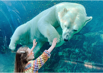 Winnipeg places to see Assiniboine Park Zoo