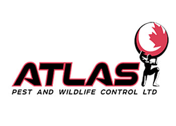 Langley pest control Atlas Pest and Wildlife Control, Ltd.