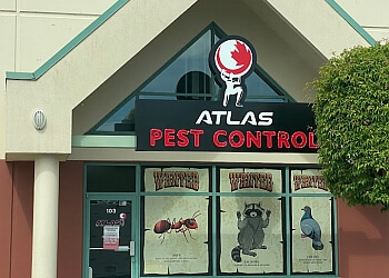 Port Coquitlam pest control Atlas Pest and Wildlife Control Ltd.