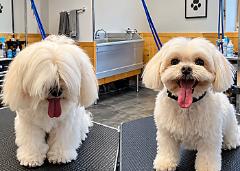 Au Maître Chien - Brossard, QC Pet Grooming - Service Highlights
