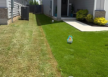 Augusta Lawn Care Medicine Hat - Medicine Hat, AB Lawn Care Services - Service Image