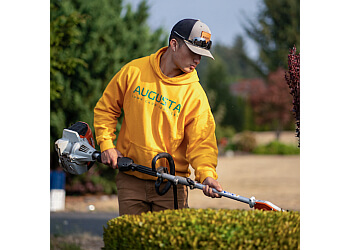 Delta lawn care service Augusta Lawn Care of Delta