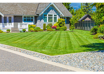 Delta lawn care service Augusta Lawn Care of Delta