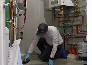 Kelowna Services d'extermination de parasites Avayda Pest Control Kelowna