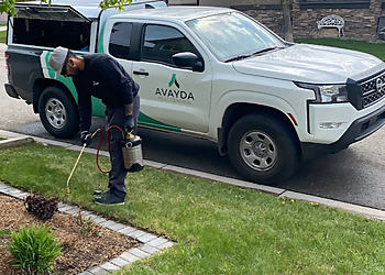 Kelowna Services d'extermination de parasites Avayda Pest Control Kelowna