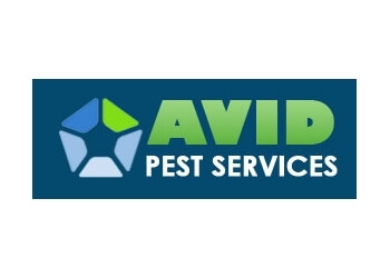 3 Best Pest Control in Hamilton, ON - Expert Recommendations