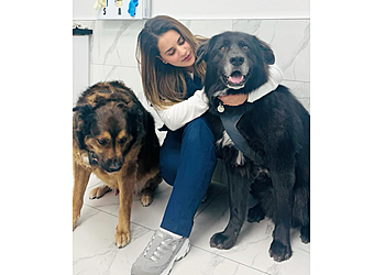 Surrey veterinary clinic Avon Animal Hospital