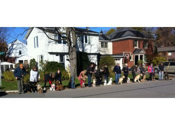 Ottawa dog trainer Awesome K9 Inc. image 1