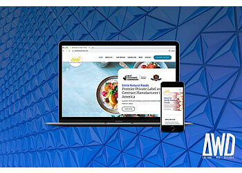 Burlington web designer Awesome Web Designs