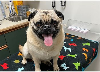 Whitby veterinary clinic Baker Animal Clinic