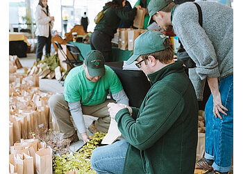 Surrey tree service BC Plant Health Care