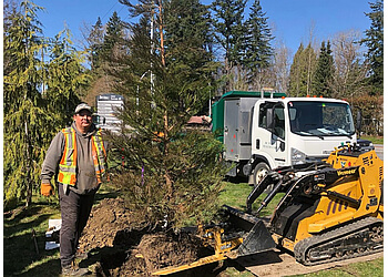 Surrey tree service BC Plant Health Care