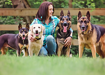 BC Westcoast K9 Services BC Westcoast K9 Services - Langley, BC Dog Trainers - Dog Trainer Image