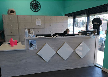 Calgary Cliniques Vétérinaires Beddington Trail Animal Hospital