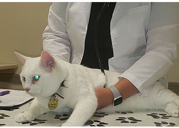 Waterloo Cliniques Vétérinaires Beechmount Animal Hospital