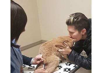 Waterloo Cliniques Vétérinaires Beechmount Animal Hospital