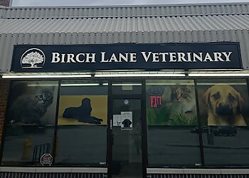 Sarnia veterinary clinic Birch Lane Veterinary Clinic image 1