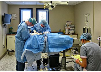 Winnipeg Cliniques Vétérinaires Birchwood Animal Hospital