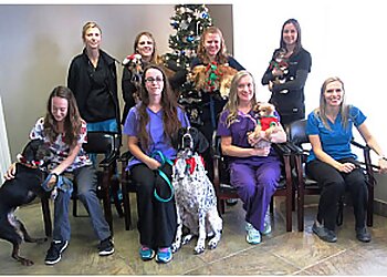 Halton Hills veterinary clinic Black Creek Animal Hospital
