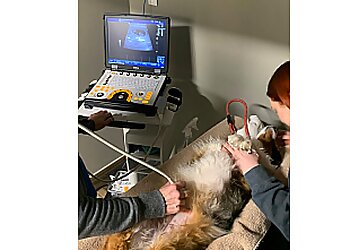 Halton Hills veterinary clinic Black Creek Animal Hospital