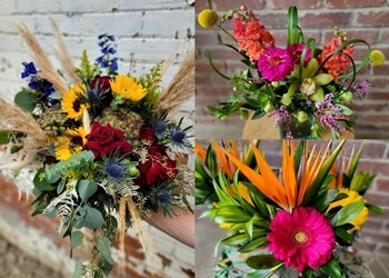 Lethbridge florist BLOOMdiggity