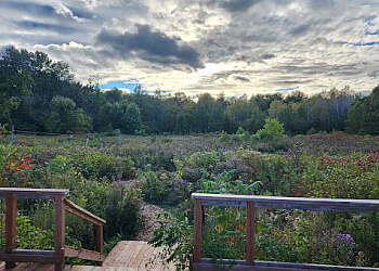 Laval hiking trail Bois de l'Équerre