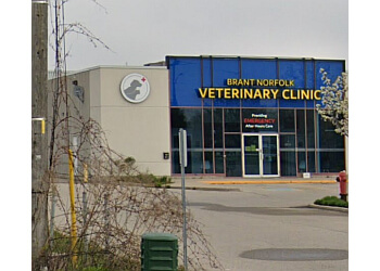 Brantford veterinary clinic Brant Norfolk Veterinary Clinic image 1